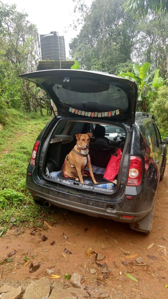 10 Reasons Mugilu is a Top Pet-Friendly Stay Near Bangalore 1 Pet-Friendly Stay Near Bangalore