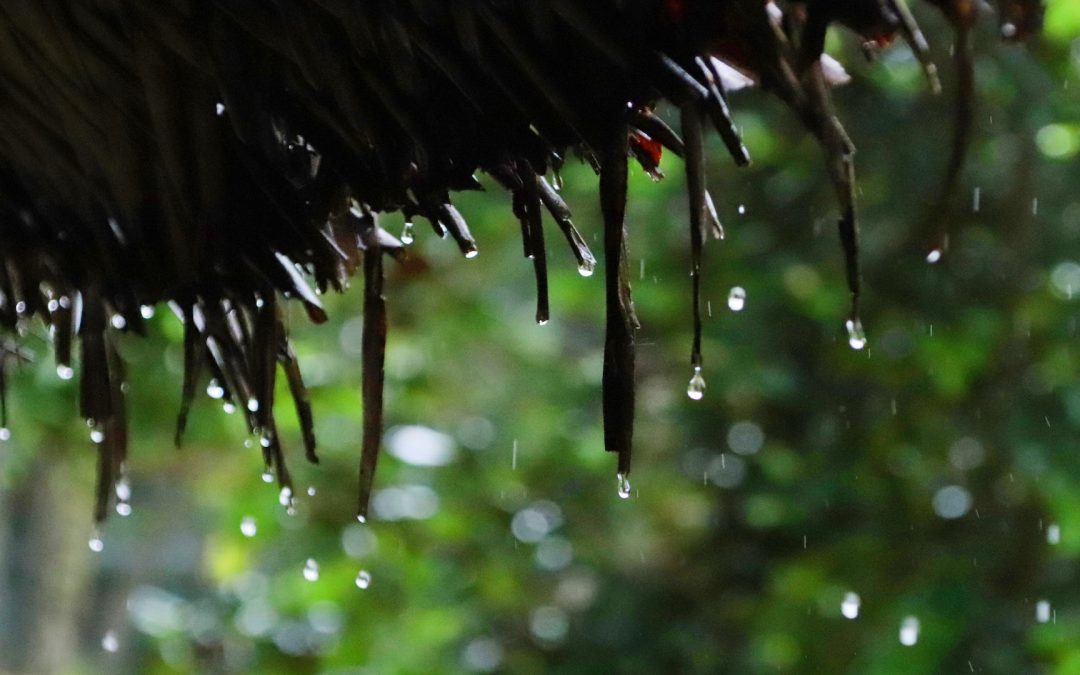 Top 10 Awesome Monsoon Getaways Near Bangalore